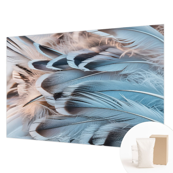 Mural fotográfico Penas azuis