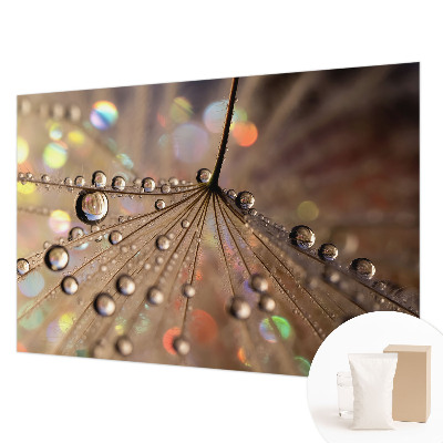 Papel de parede decorativo Gotas de pérola