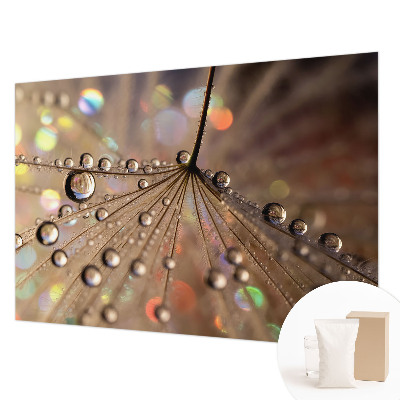Papel de parede decorativo Gotas de pérola