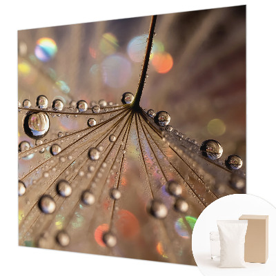 Papel de parede decorativo Gotas de pérola