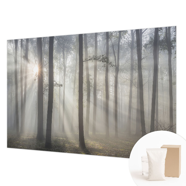 Papel de parede fotográfico Floresta Etérea