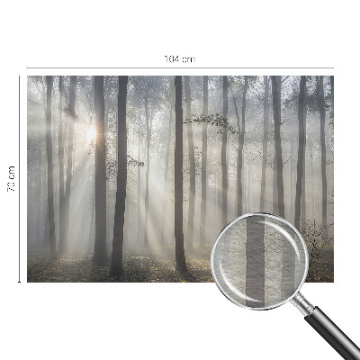 Papel de parede fotográfico Floresta Etérea