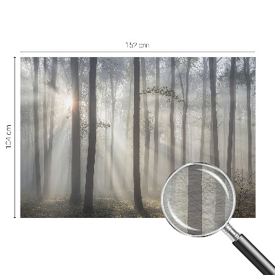 Papel de parede fotográfico Floresta Etérea