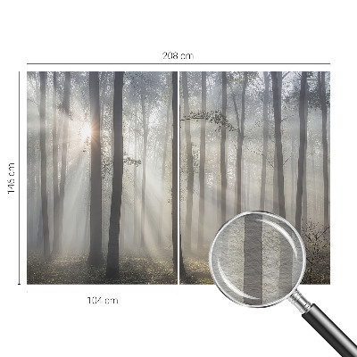 Papel de parede fotográfico Floresta Etérea
