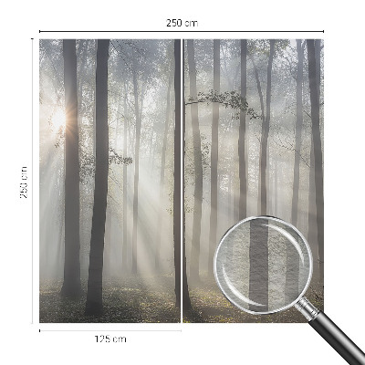 Papel de parede fotográfico Floresta Etérea