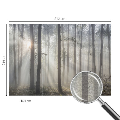 Papel de parede fotográfico Floresta Etérea