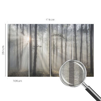 Papel de parede fotográfico Floresta Etérea
