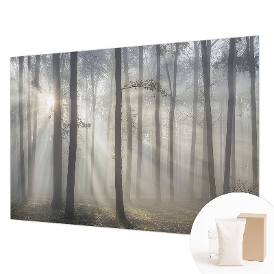 Papel de parede fotográfico Floresta Etérea