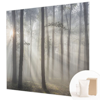 Papel de parede fotográfico Floresta Etérea