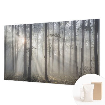 Papel de parede fotográfico Floresta Etérea