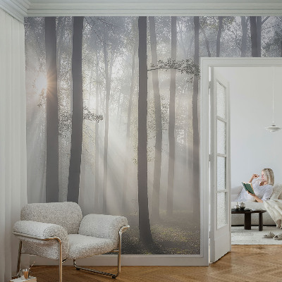 Papel de parede fotográfico Floresta Etérea