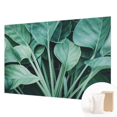 Papel de parede fotográfico Natureza verde