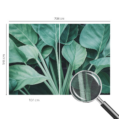 Papel de parede fotográfico Natureza verde