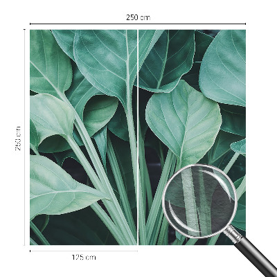 Papel de parede fotográfico Natureza verde