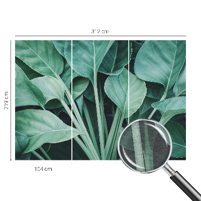 Papel de parede fotográfico Natureza verde