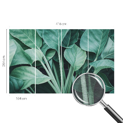 Papel de parede fotográfico Natureza verde