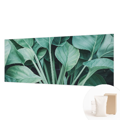 Papel de parede fotográfico Natureza verde