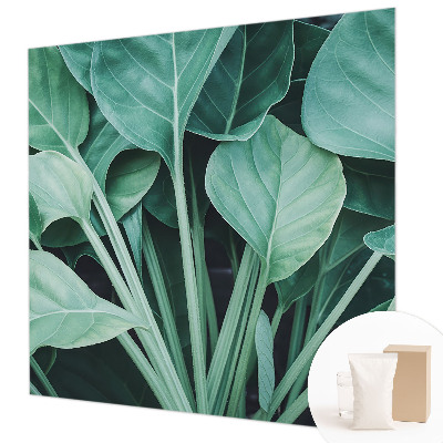 Papel de parede fotográfico Natureza verde