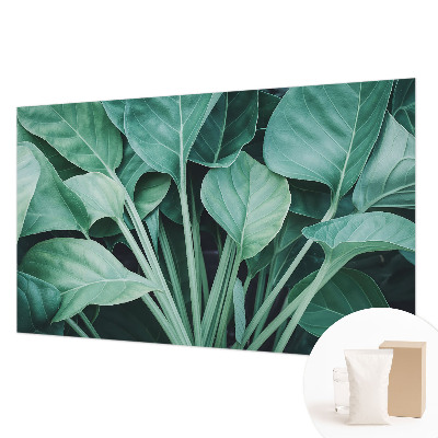 Papel de parede fotográfico Natureza verde