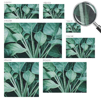 Papel de parede fotográfico Natureza verde