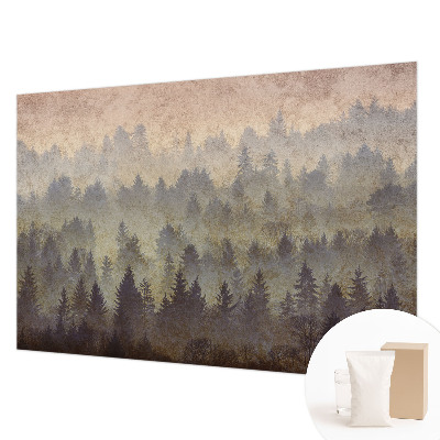 Mural fotográfico Névoa da floresta