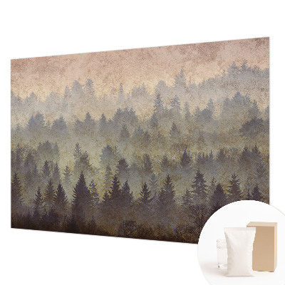 Mural fotográfico Névoa da floresta