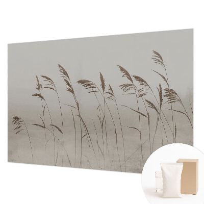 Papel de parede decorativo Grama na neblina