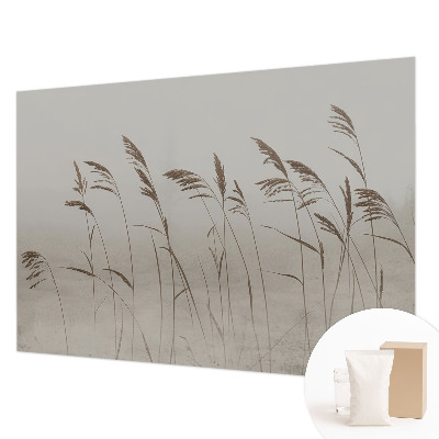Papel de parede decorativo Grama na neblina