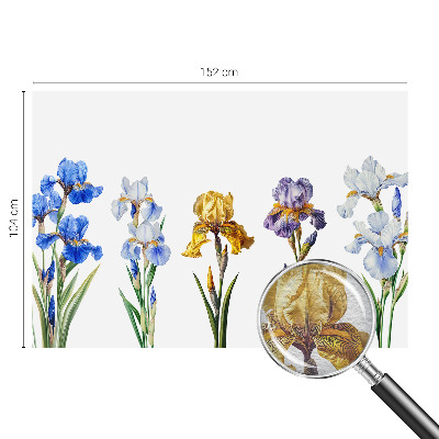 Papel de parede para sala Flores de íris