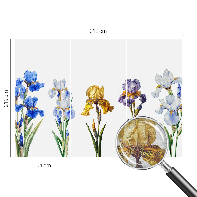 Papel de parede para sala Flores de íris
