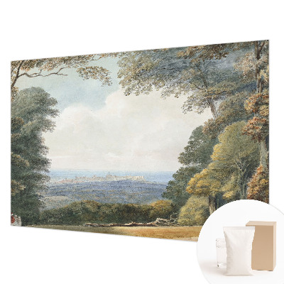 Papel de parede fotográfico Paisagem arborizada