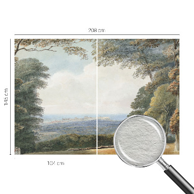 Papel de parede fotográfico Paisagem arborizada