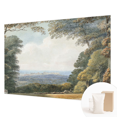 Papel de parede fotográfico Paisagem arborizada