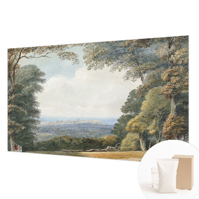 Papel de parede fotográfico Paisagem arborizada