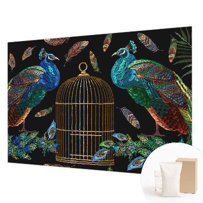 Papel de parede fotográfico Imagem de pavão
