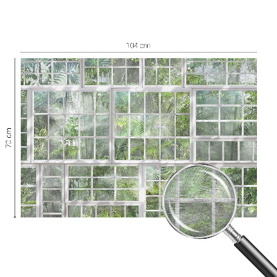 Papel de parede fotográfico Floresta verde