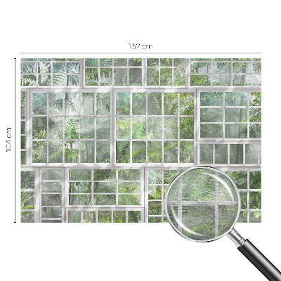 Papel de parede fotográfico Floresta verde