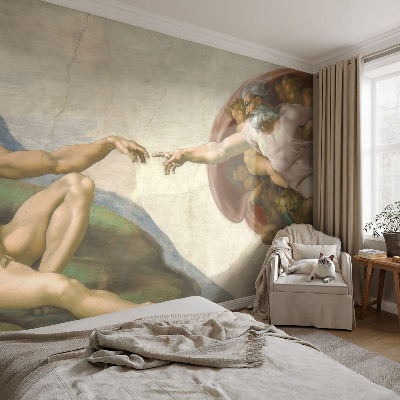 Papel de parede fotográfico contato espiritual