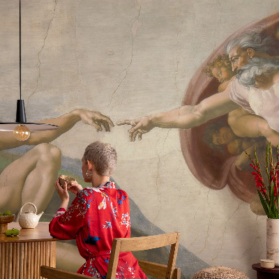 Papel de parede fotográfico contato espiritual