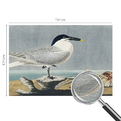 Papel de parede decorativo Elegância ornitológica