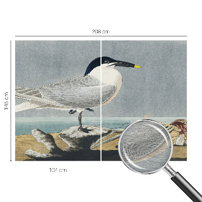 Papel de parede decorativo Elegância ornitológica