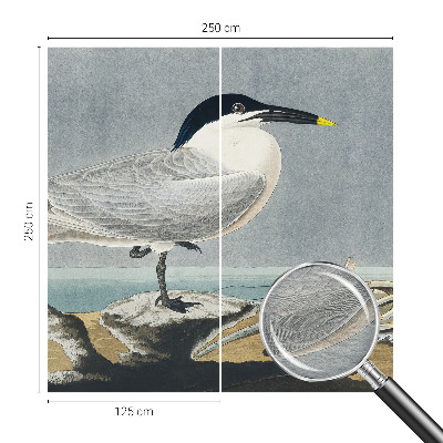 Papel de parede decorativo Elegância ornitológica