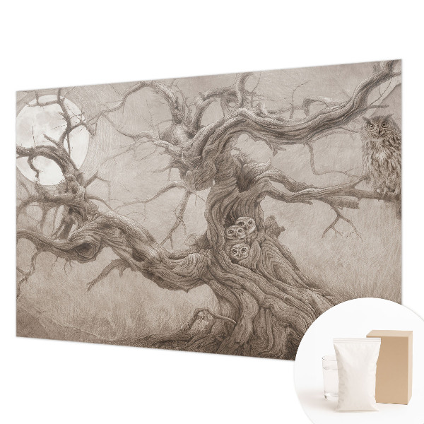 Mural de parede Pássaros noturnos