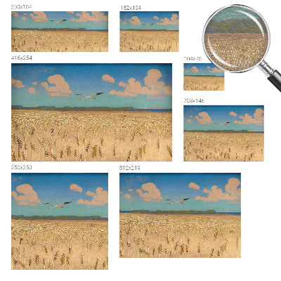 Papel de parede fotográfico Campo de trigo