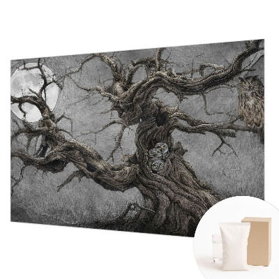 Papel de parede para quarto Coruja misteriosa
