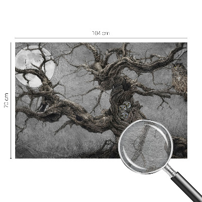 Papel de parede para quarto Coruja misteriosa