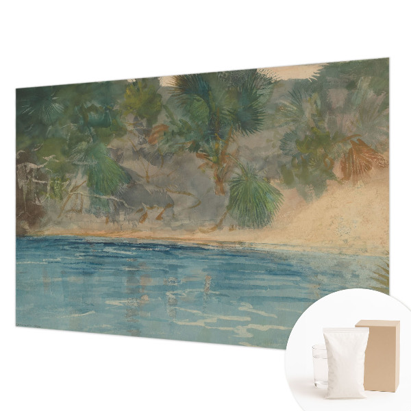 Papel de parede para sala Costa tropical