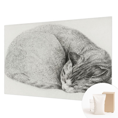 Papel de parede Gato enrolado