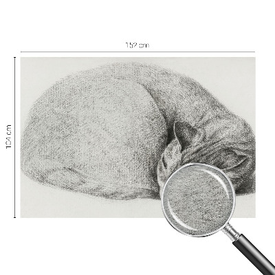 Papel de parede Gato enrolado