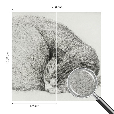 Papel de parede Gato enrolado